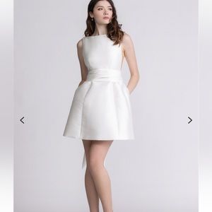 WATTERS DESIGNS NAYA DRESS. WORN ONCE THEN DRY CLEANED. Size 10.